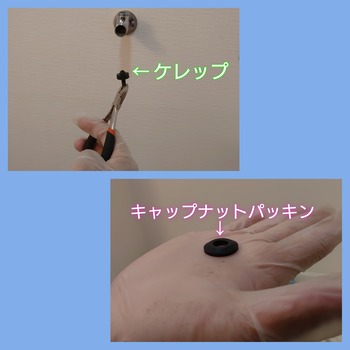 パッキン
