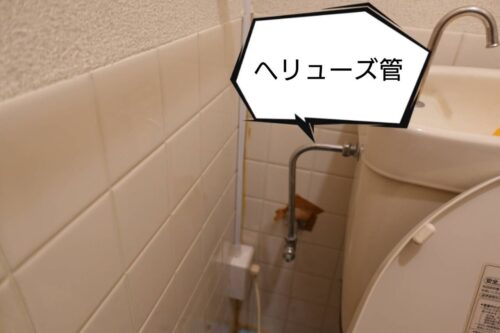 へリューズ管 
